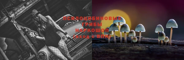 кокс Богородск