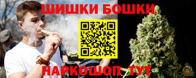 гидропоника Пенза