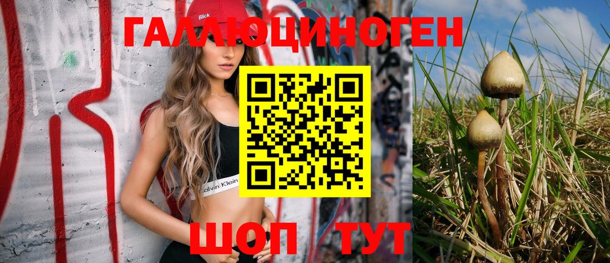 Псилоцибиновые грибы GOLDEN TEACHER  Вход с VPN  Улан-Удэ 